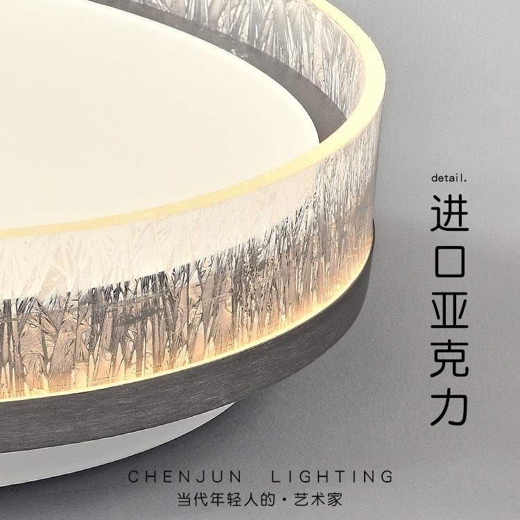 卧室吸顶灯2024新款意式轻奢极简现代简约房间主卧高级感护眼灯具
