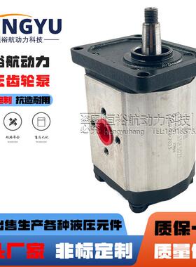 油泵SDH齿轮泵CBTs-F330F50Z1CBD1CBDaCBF泵CBTCBQ液压泵压力