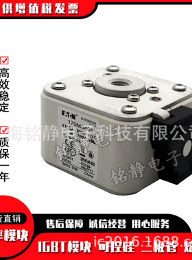 熔断器 170M6314 170M6315 170M6316 170M6317 170M6318
