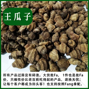 王瓜子中药材500克精选王瓜籽 赤雹子 土瓜子 瓜仁 老鸦瓜 野甜瓜