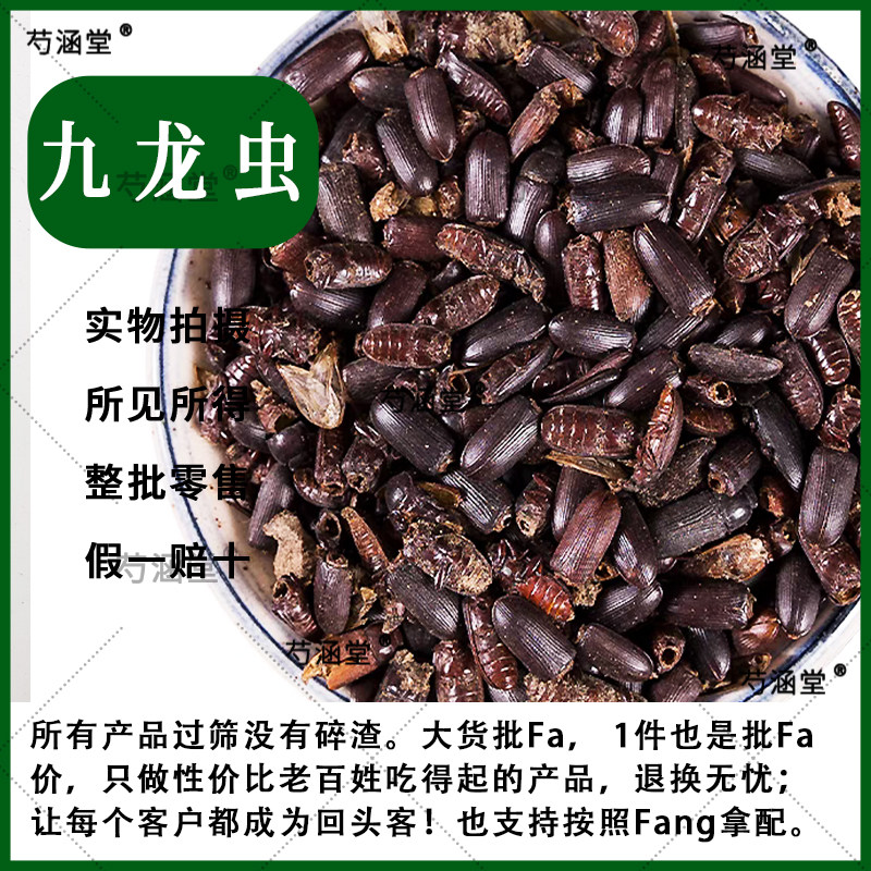 九龙虫中药材九龙虫洋虫米虫九龙虫干另有地龙滚山虫各种虫类大全