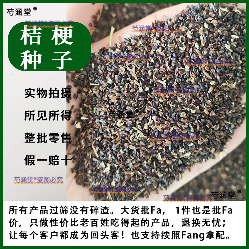 新产桔梗种子狗宝菜种子桔梗籽桔梗花种子中药材桔梗种籽花卉药食
