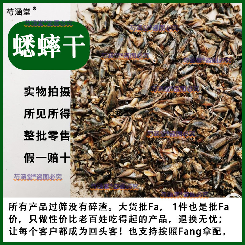蟋蟀干中药材蟋蟀蚂蚱干货蛐蛐干虫子鸣虫正品新鲜饲料将军虫冻干