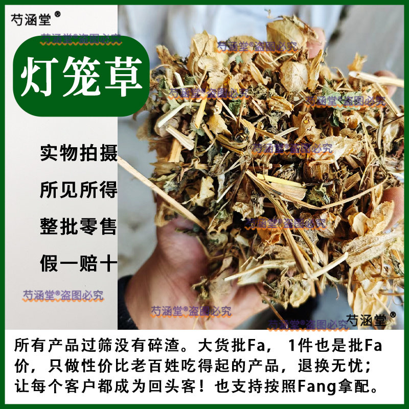 灯笼草包邮野生灯笼草中药材500g断血流鬼灯笼苦锦灯笼姑娘果草药