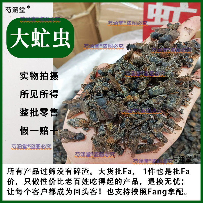 正品野生虻虫中药材手选大个牛苍蝇牛氓虫牛蚊子牤虫忙虫大头虻虫