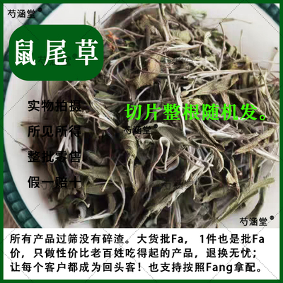 鼠尾草切碎干草西餐香料调味迷迭香马月兰干洋苏草大叶鼠尾草叶