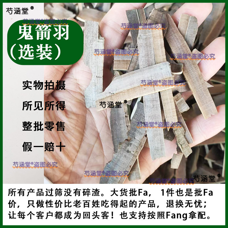 精选野生无杆鬼箭羽中药材鬼见羽 鬼剑雨 卫矛 六月凌无杆纯羽