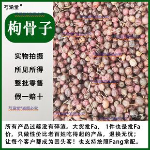 泡酒枸骨子果实 十大功劳子中草药功劳籽刺枸骨子枸骨籽500g 包邮