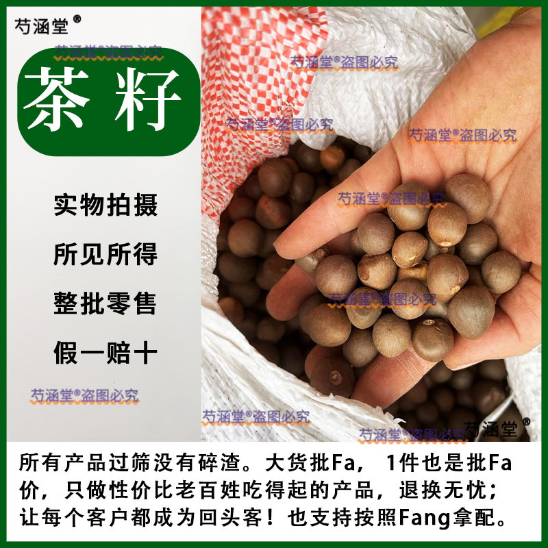 中药材无硫山茶籽 茶树籽水洗 油茶籽茶籽果100克包邮新货