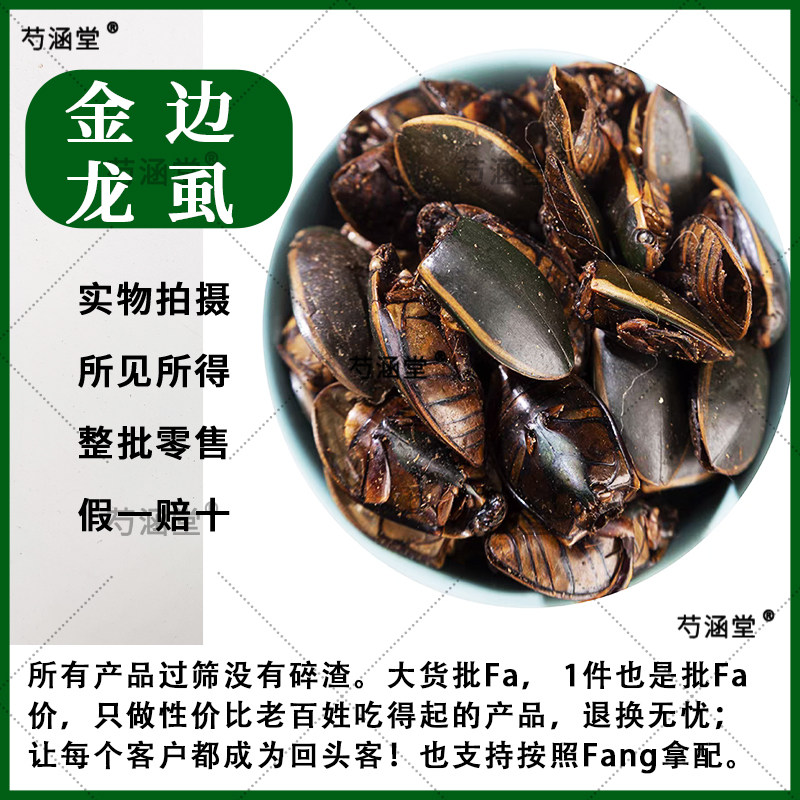 金边龙虱特色昆虫水鳖虫小金边龙虱水龟子射尿龟中药材大金边土元
