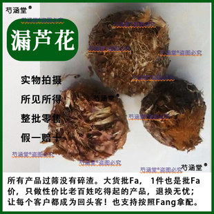 中药材漏芦花 兰刺头 独花上牛蒡和尚头野兰鬼油麻 狼头花500克