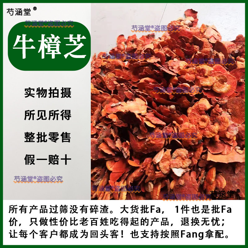 牛樟芝野生 中药材纯干菇三年生牛樟芝子牛樟菇100克新货