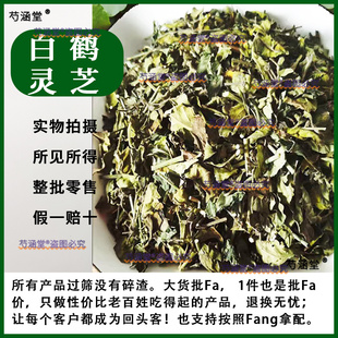 广西野生中药材白鹤灵芝草  白合灵芝草新鲜干货500克包邮