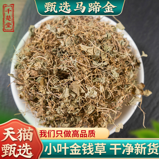 马蹄金中药材小金钱草500克新货无硫荷包草野生螺丕草正品黄胆草