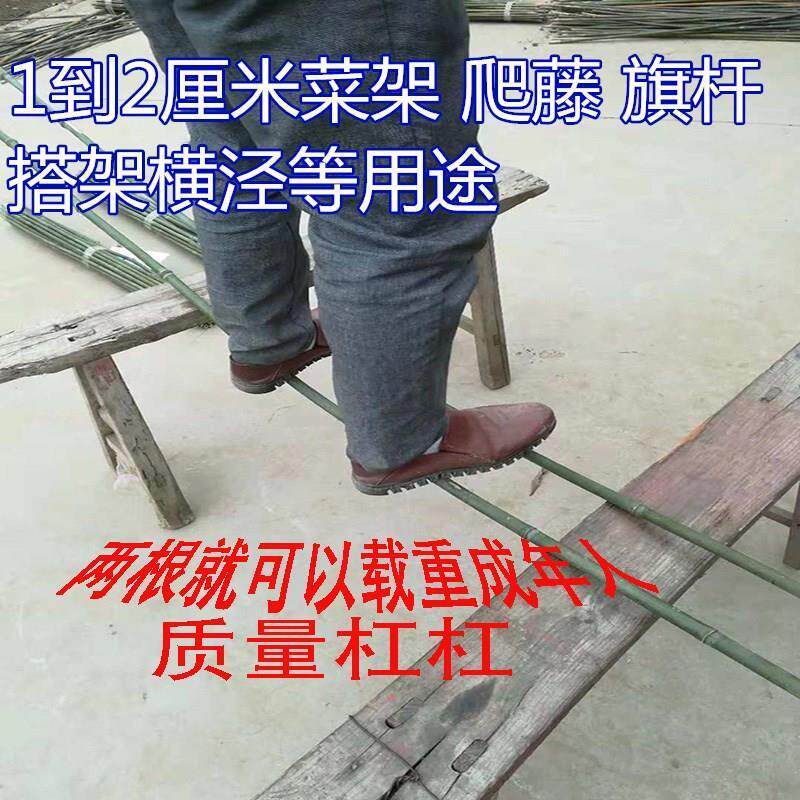 旗杆竹竿子菜园搭架竹子户外杆篱笆围栏黄瓜豆角爬藤菜架竹架