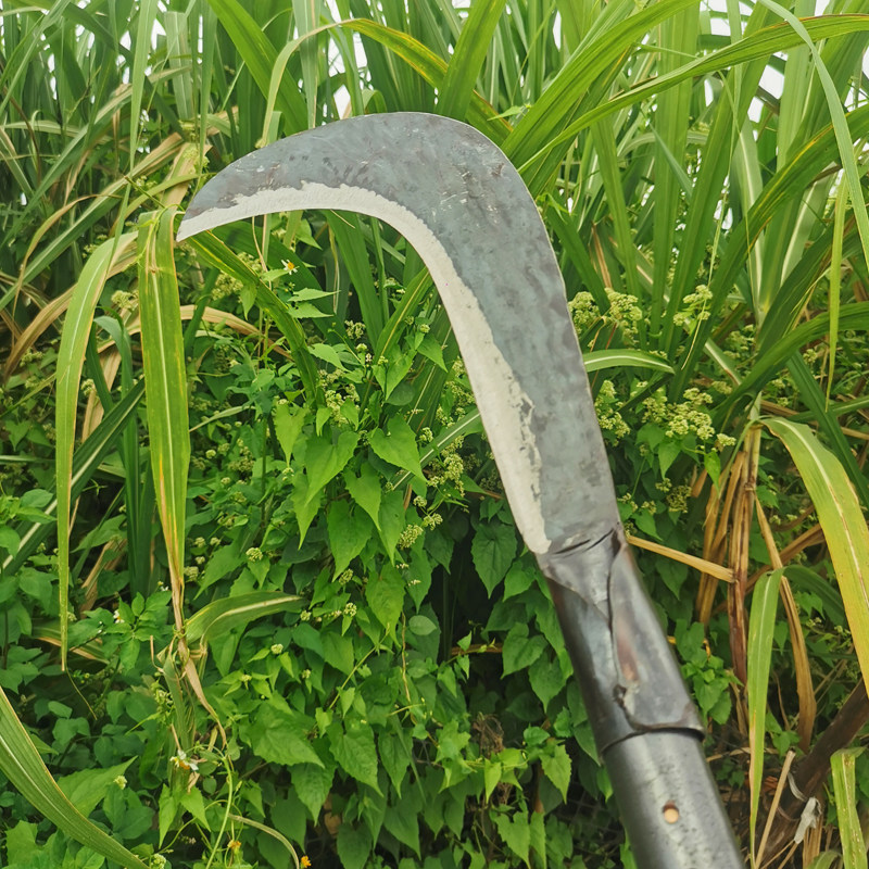 老式砍树小弯刀高碳钢锻打一体镰刀长柄修枝砍柴农用手工割草工具