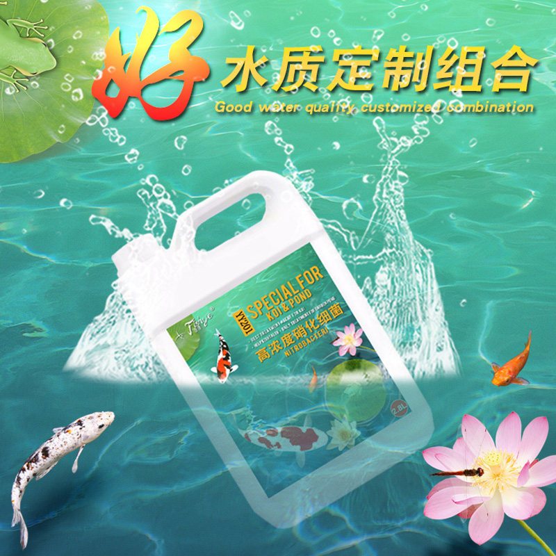 鱼缸除藻剂锦鲤鱼池硝化细菌净水剂观赏鱼药水族绿水质稳定剂2.5L