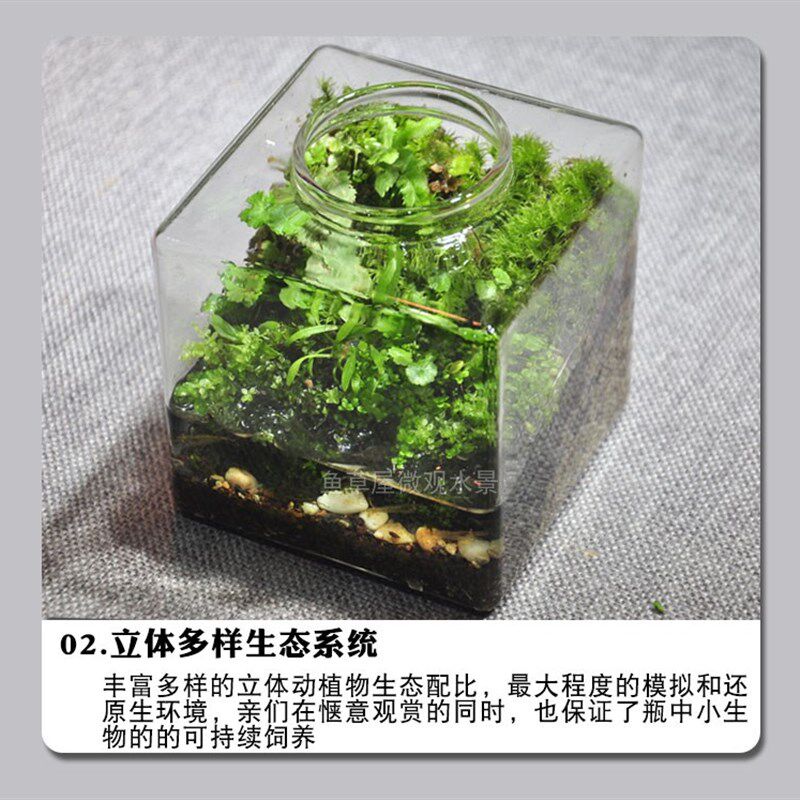 生态瓶观赏鱼缸辣椒蟹苔藓植物微景观桌面鱼虾蟹水陆缸微型景观
