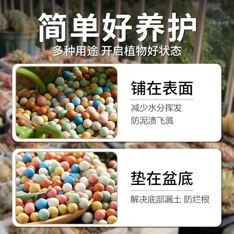 陶粒养花专用彩色颗粒种花用垫底花卉铺面石透气水培盆栽多肉营养