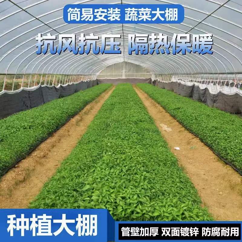 蔬菜种植大棚温室大棚骨架镀锌连体家用育苗多肉花卉草莓葡萄大棚