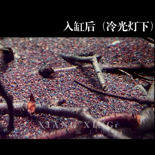 优质雨林底砂造景沙 雷龙鱼专用底沙 原生缸南美缸 装饰过滤水质
