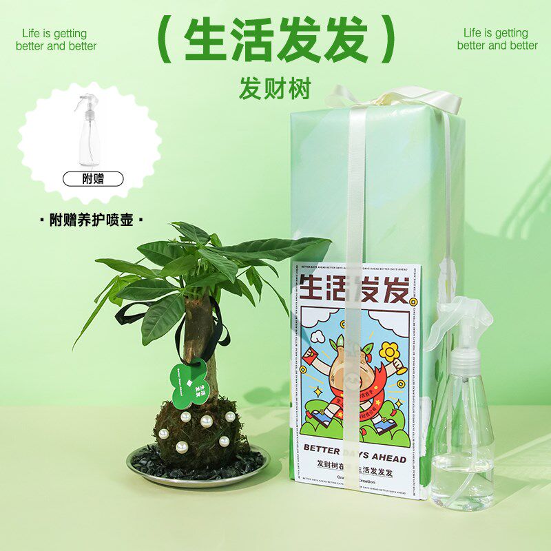 失控绿氧 创意发财树办公室桌面摆件绿植盆栽植物手工diy礼物