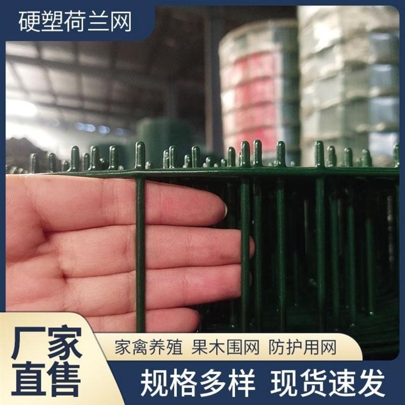 硬塑铁丝网养殖围栏网防护防锈拦鸡鸭鹅果园菜园圈山圈地池塘鱼塘