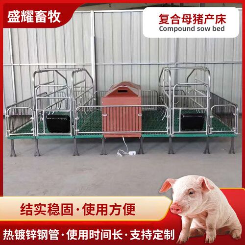 新款单双体欧式母猪产床复合漏粪板母猪栏落地式母猪定位栏产床