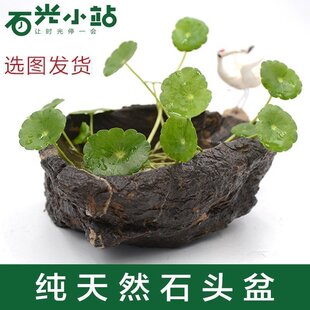 天然石头花盆奇石盆景一体无孔微景观多肉烟灰缸砚台牛槽石盆石槽
