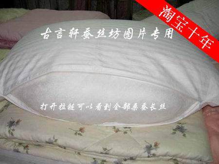 纯蚕丝枕桑蚕丝长丝枕头真丝枕芯颈椎保健枕护颈枕健康枕特价正品