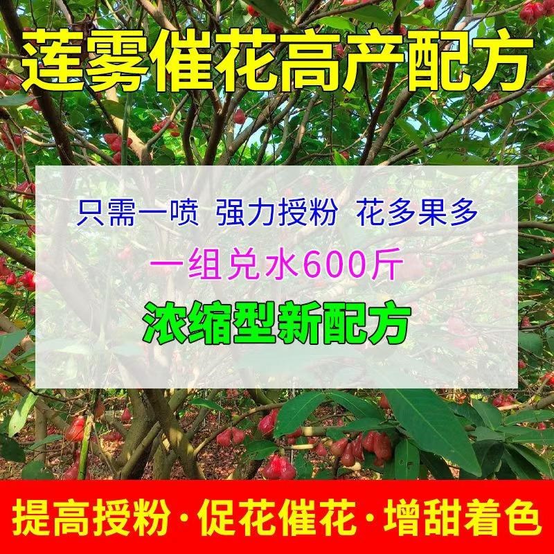 碧花开莲雾莲雾促花催花保花保果花芽分化叶面肥花多果多果树农用