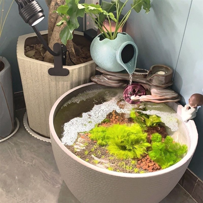 荷花加厚塑料花盆特大号树脂室内养鱼种树睡莲专用陶瓷鱼缸庭院