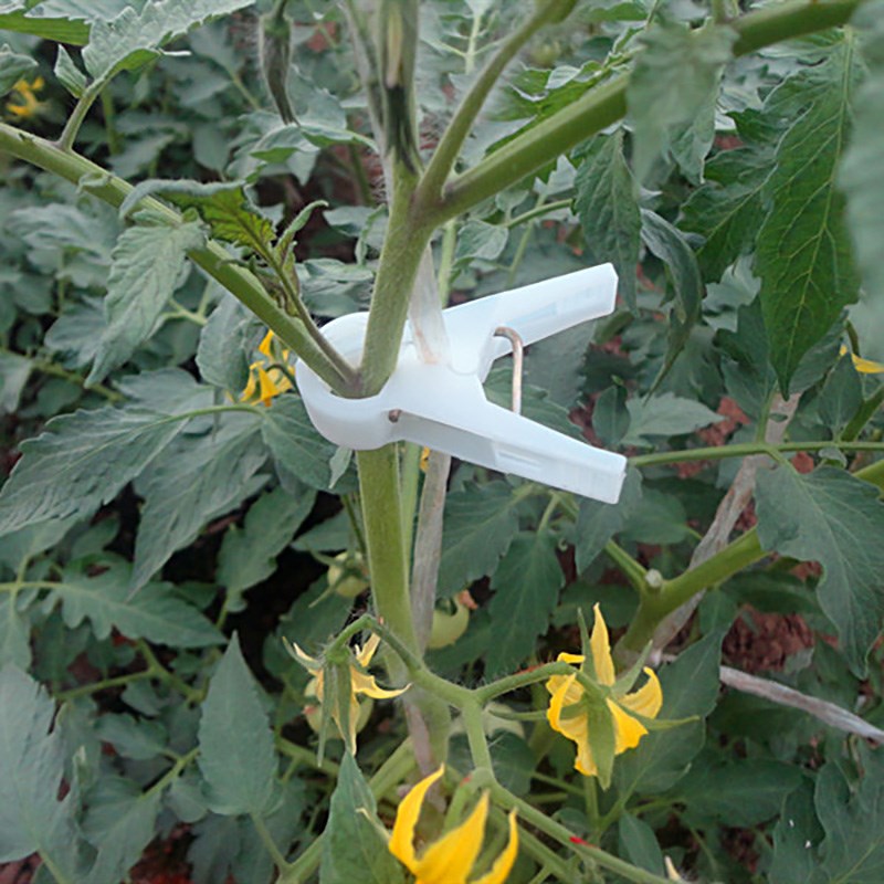 黄瓜绑蔓夹蔬菜种植扶蔓夹青椒绑蔓植物落秧夹西红柿西葫芦吊秧夹