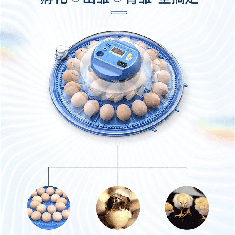 小飞碟孵化器小型家用孵化机智能全自动恒温鸡鸭鹅鸟芦丁鸡孵蛋箱