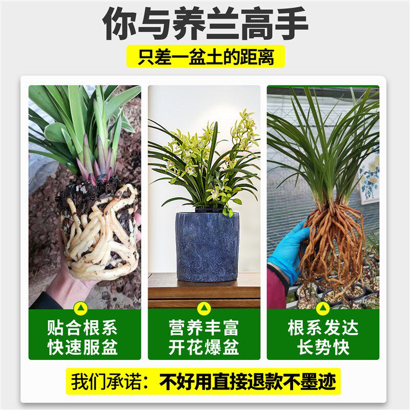 兰花专用土植料石斛蝴蝶兰君子兰专用松树皮块种植料营养花土船长