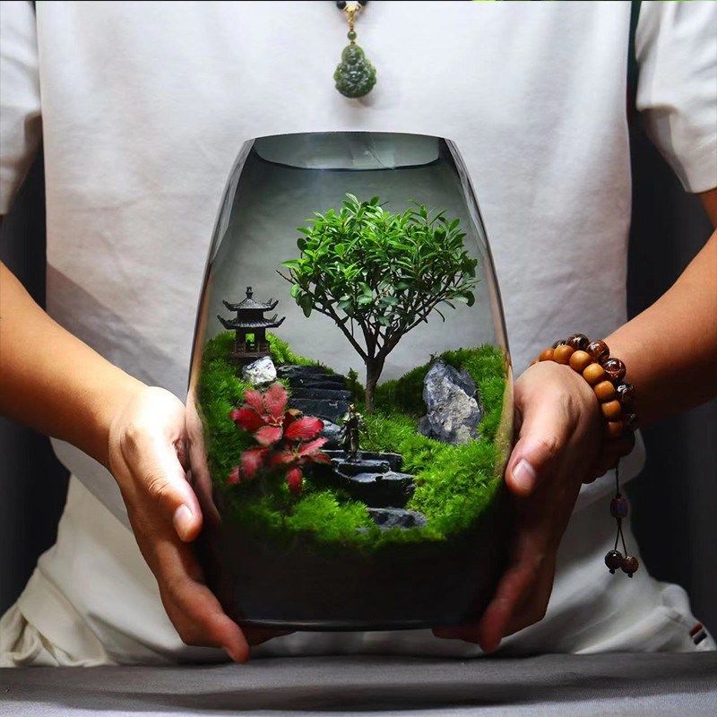 苔藓微景观生态瓶桌面装饰小摆件办公室绿植diy盆栽玻璃造景盆景