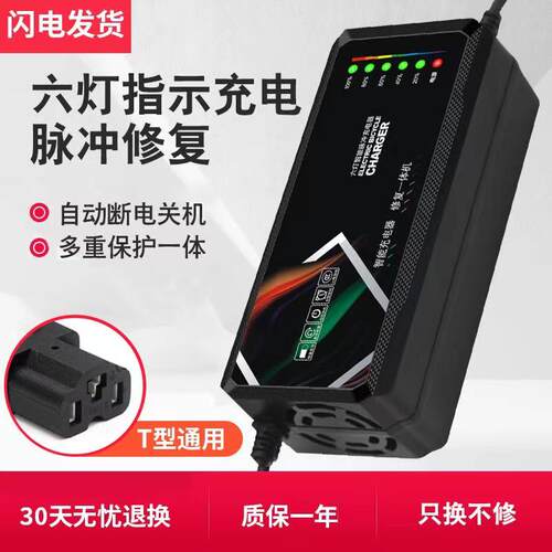 适用五星黑马电动车电瓶充电器48V12AH60V20AH72V32Ah40A 通用