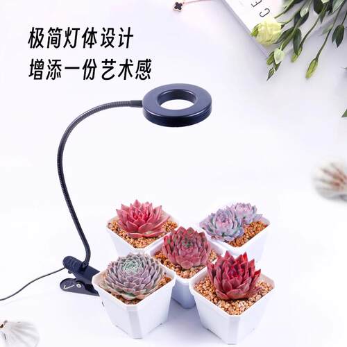 植物补光灯多肉植物专用USB夹子式简约艺术感灯绿植光灯LED生长灯