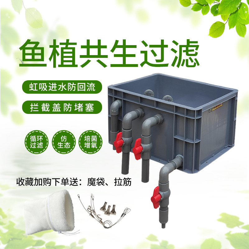 沼泽过滤箱自制乌龟鱼缸池生态过滤系统周转箱过滤盒循环增氧培菌