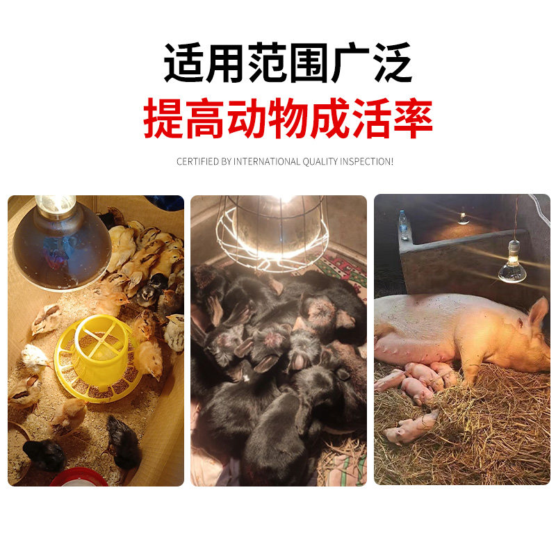 保温灯养殖场专用猪用保暖灯小鸡育雏取暖灯泡小猪加热灯仔猪烤灯