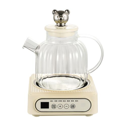 全玻璃煮水壶迷你养生壶家用多功能烧茶壶办公室小型煮茶器花茶壶