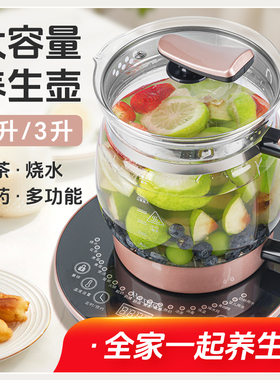 花茶养生壶2026新款养生壶大容量2升壶电热炖煮一体水家用多功能L