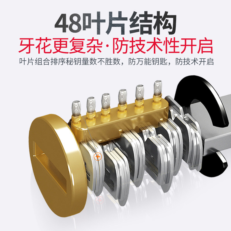 龙甲防盗门锁芯超C级家用入户大门泰祥10齿锁心B级防锡纸开启D级