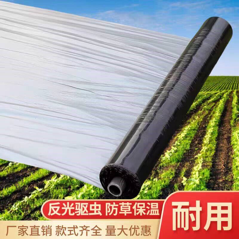 银黑双色反光地膜果树草莓西瓜专用防长草加厚农用种菜园银黑地膜