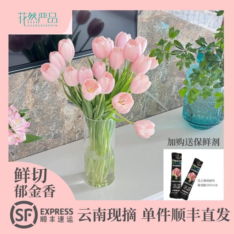 粉色郁金香鲜花水培插花花束婚礼手捧花郁金香鲜切花云南基地直发