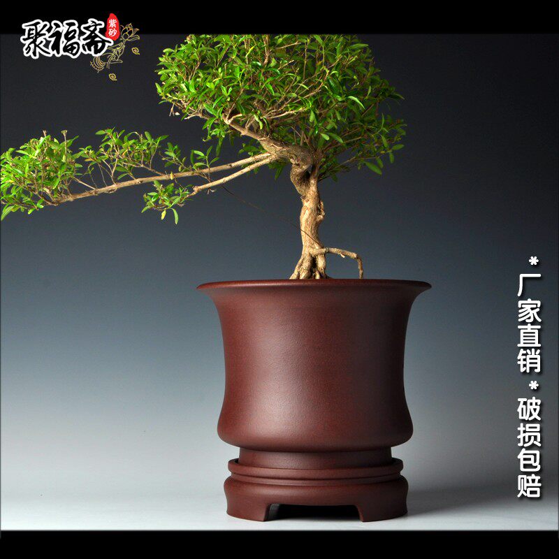 紫砂花盆 君子兰盆大号圆形透气盆景盆古典带托盘花盆特价清仓
