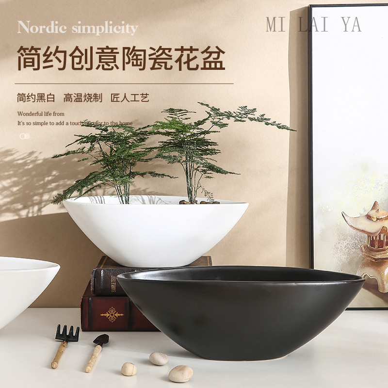 椭圆形异形陶瓷花盆蝴蝶兰组合多肉蕨类无孔可水培绿植简约ins风