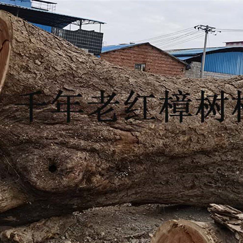 天然樟木块 樟木条 小叶红樟 防蛀防虫香熏 千年树根 送布袋