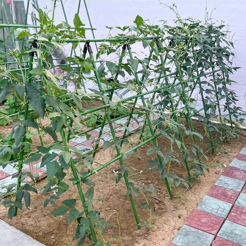黄瓜爬藤架豆角架西红柿支撑杆瓜果蔬菜搭棚架子植物专用包塑钢管
