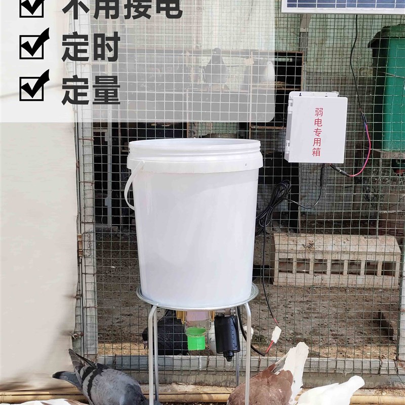 太阳能自动喂食器定时定量鸽子鸡鸭鹅狗喂料机投食器用品用具远程